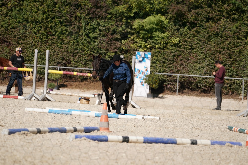 s_A_907661.JPG